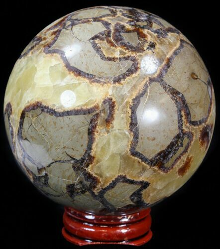 Polished Septarian Sphere - With Stand #43853